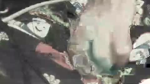 sithjw78 online show from November 23, 2025, 2:33 am