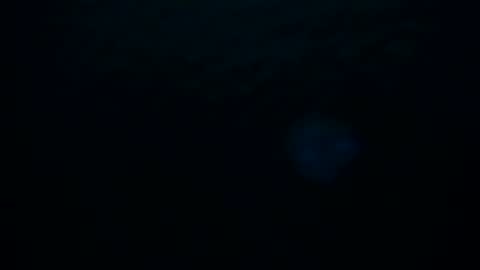 Skarlet online show from October 8, 2025, 2:20 am