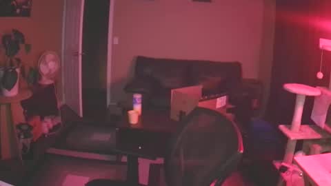 Skateboard online show from February 2, 2025, 4:37 am