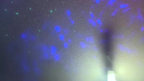 Skateboard online show from February 21, 2025, 1:55 am