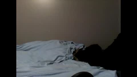 skeeter4fun73 online show from January 17, 2025, 6:12 pm