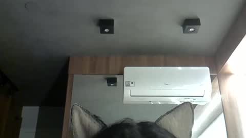 skinnykittencam online show from October 20, 2025, 1:39 am