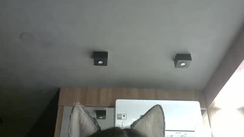skinnykittencam online show from October 24, 2025, 2:08 am