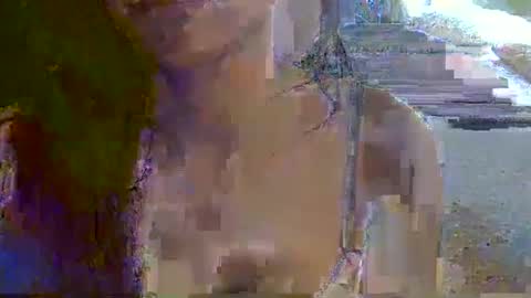 skinnykittencam online show from November 16, 2025, 7:25 am