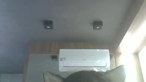 skinnykittencam online show from January 15, 2026, 3:55 am