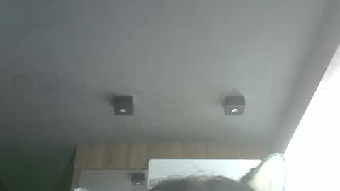 skinnykittencam online show from March 29, 2026, 4:34 am
