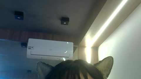 Snapshot of skinnykittencam chatting on June 23, 2026, 1:42 pm skinnykittencam online show from June 23, 2026, 1:42 pm