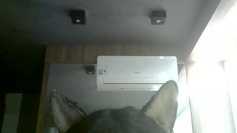 Snapshot of skinnykittencam chatting on June 28, 2026, 1:28 pm skinnykittencam online show from June 28, 2026, 1:28 pm
