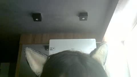 Snapshot of skinnykittencam chatting on July 4, 2026, 5:35 am skinnykittencam online show from July 4, 2026, 5:35 am