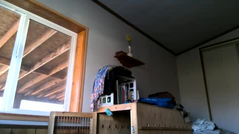 Snapshot of skinnystrong chatting on January 31, 2025, 10:10 pm skinnystrong online show from January 31, 2025, 10:10 pm