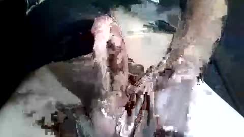 Z online show from November 2, 2025, 9:28 pm