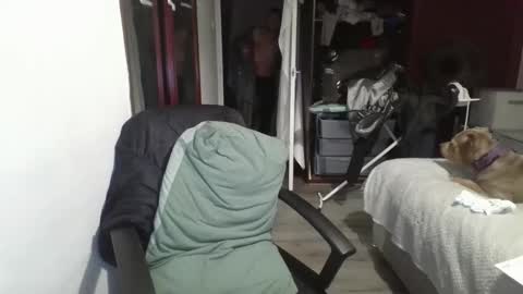 Snapshot of slim9846 chatting on November 4, 2025, 4:44 am Slim984 online show from November 4, 2025, 4:44 am