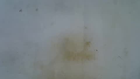 slim_girl3 online show from October 22, 2025, 7:19 am