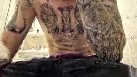 smallone8825 online show from February 5, 2025, 6:15 pm