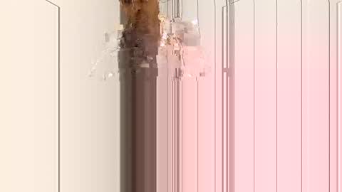 smilehiguy online show from January 3, 2025, 4:33 am