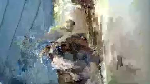 smiley_berry online show from September 30, 2025, 7:30 pm