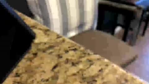 Peter Johnson online show from July 16, 2026, 6:47 pm