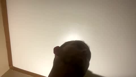 smokeymt420 online show from March 8, 2025, 6:54 am