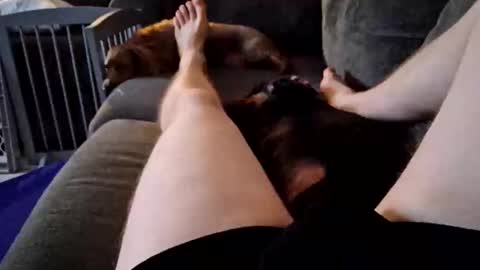 smokynight online show from September 14, 2025, 11:26 pm