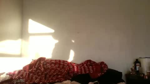 Bambi--Vodka online show from December 22, 2024, 9:09 pm