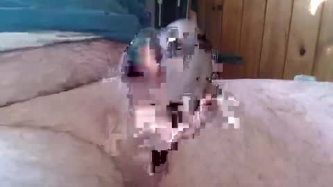 Snapshot of sn0man69 chatting on January 6, 2025, 2:47 pm sn0man69 online show from January 6, 2025, 2:47 pm