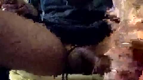 Lets play n party online show from January 7, 2026, 7:55 am