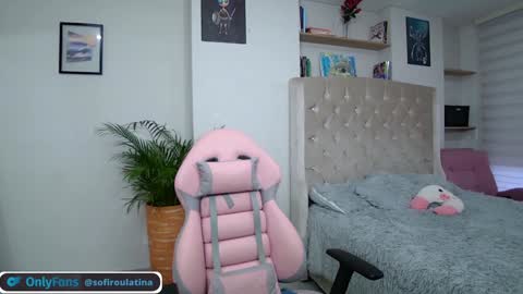 Snapshot of soffi_rousel_ chatting on December 2, 2024, 10:34 pm soffi_rousel_ online show from December 2, 2024, 10:34 pm