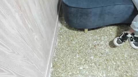 sofi_posada online show from November 13, 2025, 10:58 am