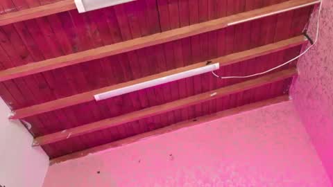 Sofia online show from November 14, 2025, 3:05 am