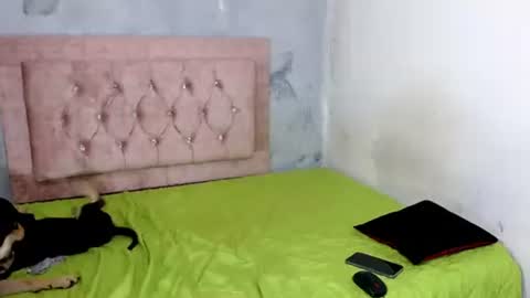 sofiadoll77 online show from February 8, 2025, 9:03 am