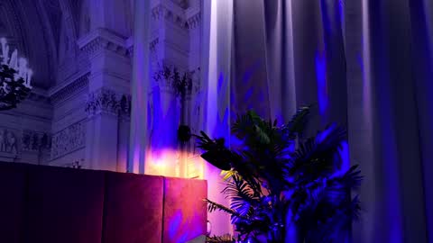 Sofia online show from January 24, 2025, 2:19 pm