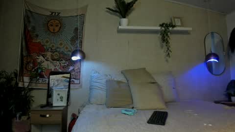 sofii_wild online show from June 3, 2026, 11:35 am