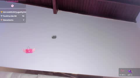 Snapshot of sofiscott_ chatting on March 9, 2025, 10:41 pm Sofia online show from March 9, 2025, 10:41 pm