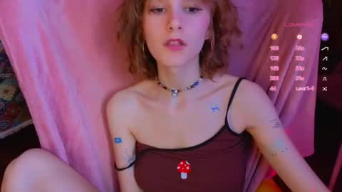 E online show from April 17, 2026, 12:08 pm