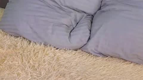 Milisa online show from March 2, 2025, 6:19 pm