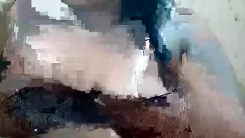 soft_bads online show from October 9, 2025, 10:46 am