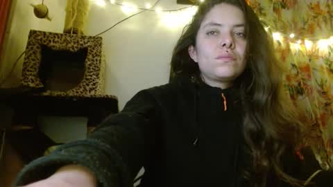 Sofia online show from February 24, 2026, 5:05 am