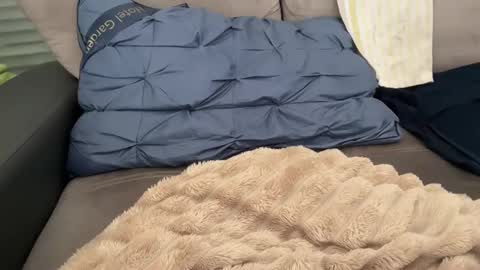 Snapshot of sombre_sdelices chatting on February 28, 2026, 11:11 am Tayla online show from February 28, 2026, 11:11 am