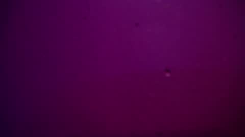 Snapshot of sommer_alexa chatting on December 28, 2024, 11:26 pm Alexa online show from December 28, 2024, 11:26 pm