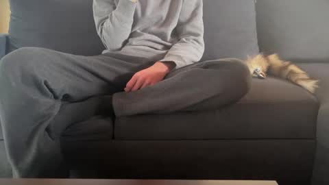 Sondages online show from March 9, 2025, 10:41 am