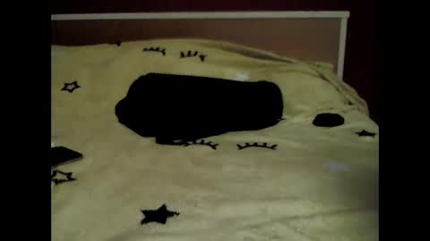 Snapshot of sonya786071 chatting on March 3, 2026, 5:41 pm sonya online show from March 3, 2026, 5:41 pm