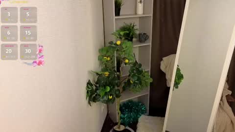Hello im Virginia online show from April 15, 2026, 7:58 pm