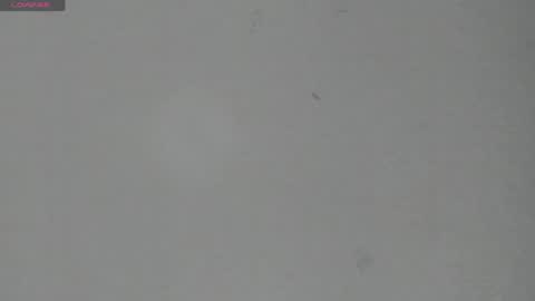 Snapshot of sophia_ebony___ chatting on June 5, 2026, 12:11 pm sophia_ebony___ online show from June 5, 2026, 12:11 pm