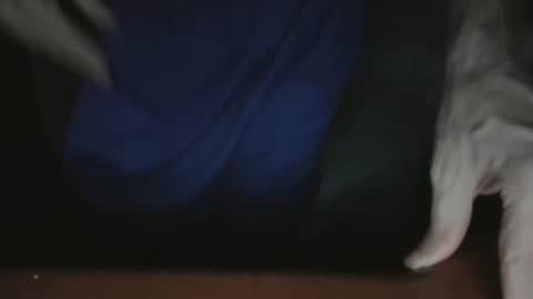 ScorpioKobra online show from November 22, 2025, 5:17 am