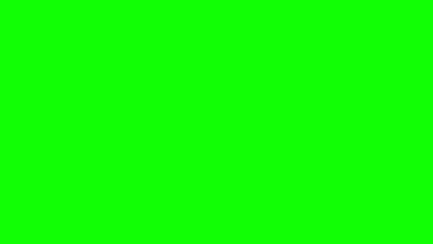 Bob online show from February 23, 2025, 12:16 pm