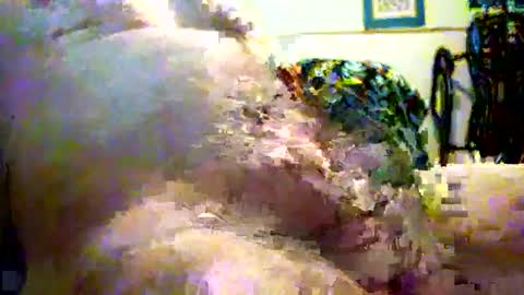 sparkybig127 online show from December 7, 2024, 4:25 pm