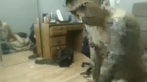 speedfreekeespun online show from February 25, 2025, 7:14 pm