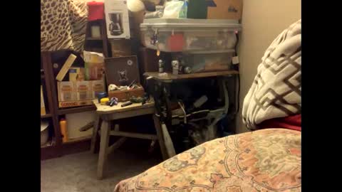 Snapshot of spermdoner23 chatting on November 10, 2025, 1:32 pm spermdoner23 online show from November 10, 2025, 1:32 pm
