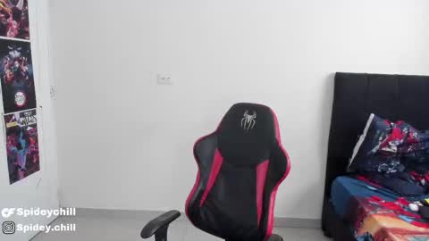 Snapshot of spideychill chatting on March 12, 2025, 10:07 pm spideychill online show from March 12, 2025, 10:07 pm