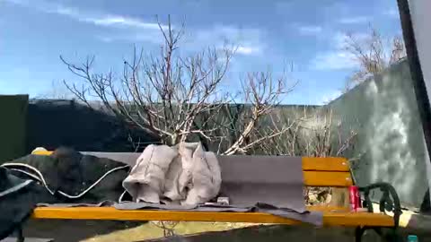 My name is Maya Lush is activeThere are legends that in this room all your wishes can come true  Private is Open online show from March 7, 2025, 10:02 am